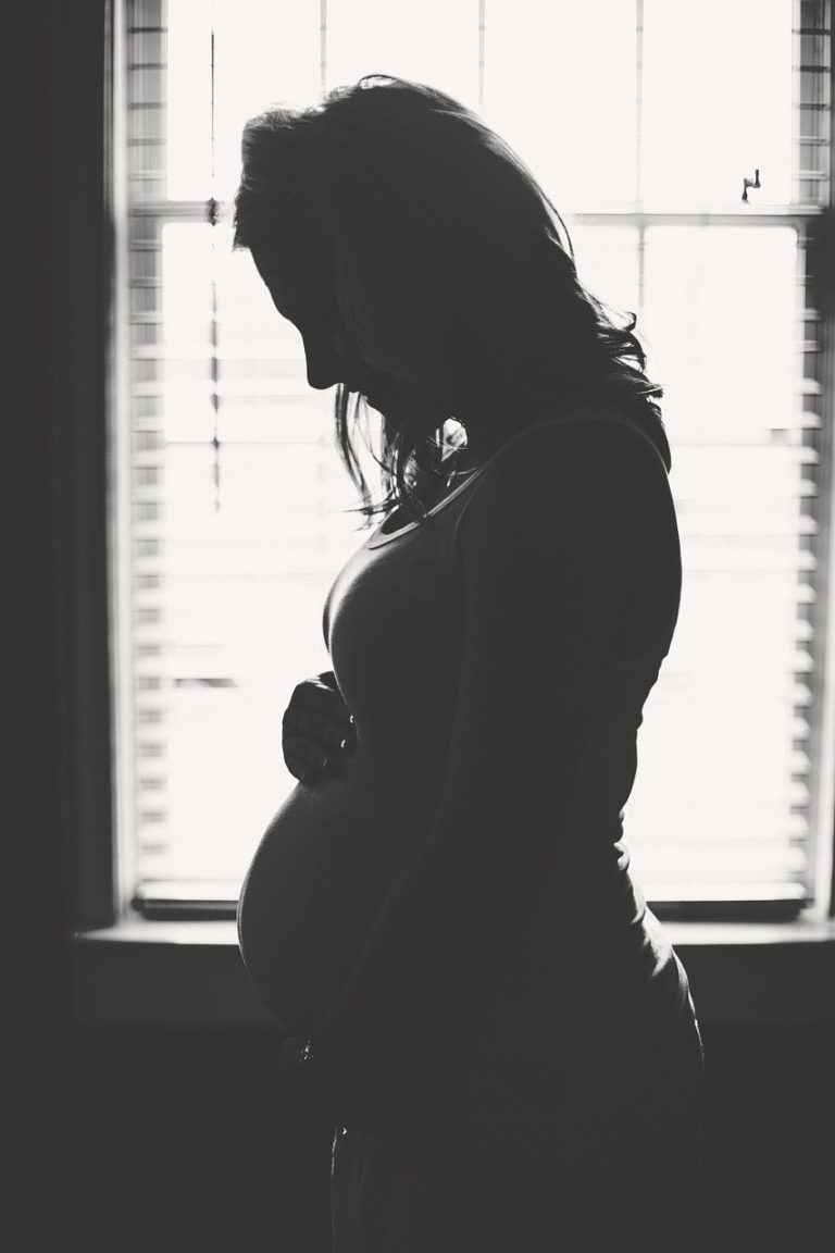 woman, pregnant, silhouette